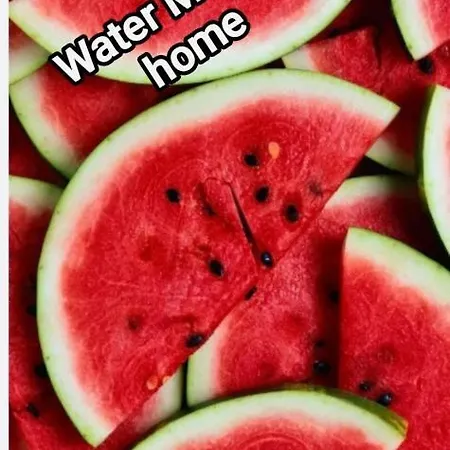 Watermellon Apartment *